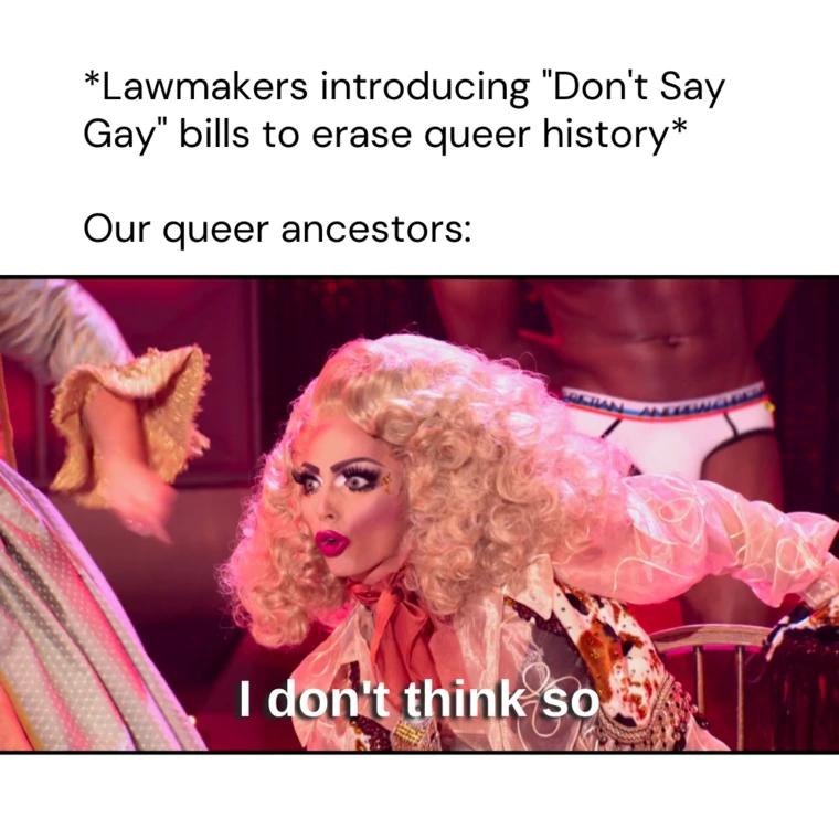 Lawmakers introducing 'Don't Say Gay' bills to erase queer history