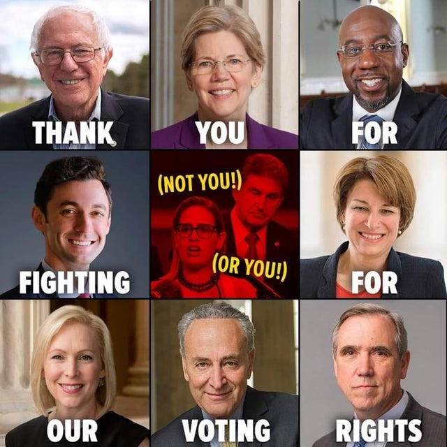 Politicians fighting for our voting rights meme