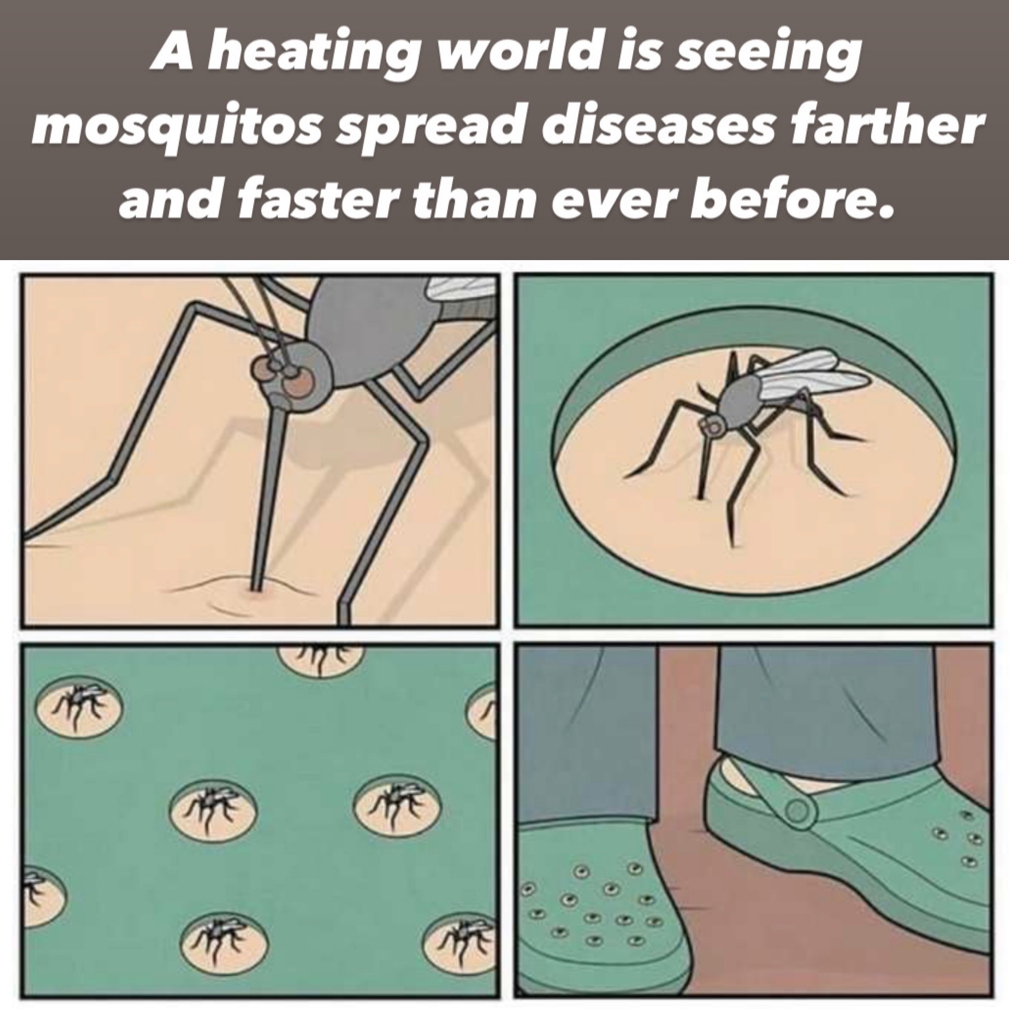 Climate change mosquitos meme