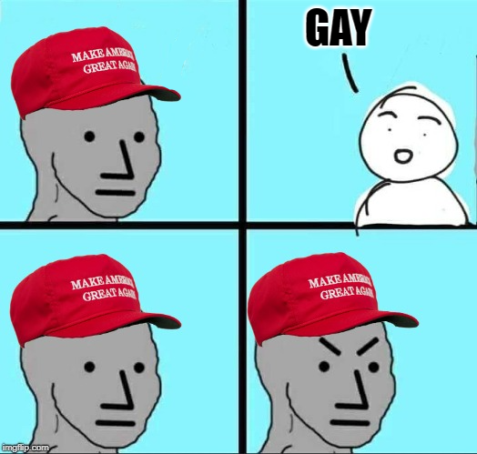 MAGA don't say gay meme