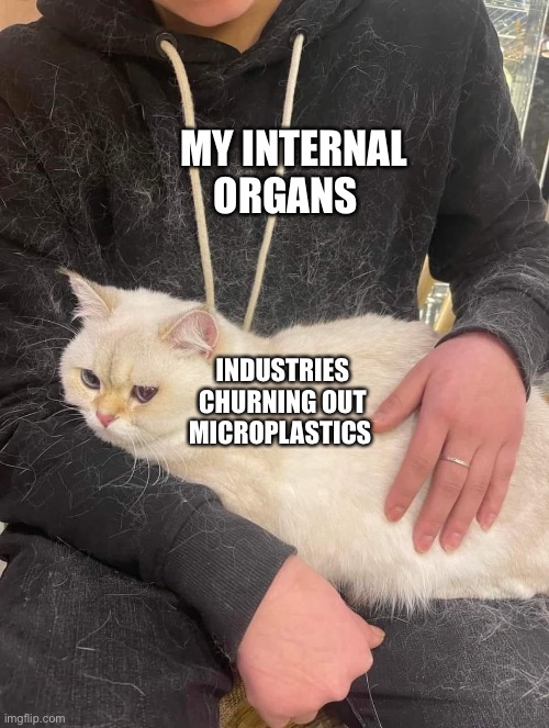 My internal organs vs microplastics meme