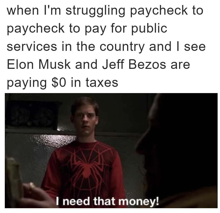 Me paying for public services while billionaires pay nothing meme