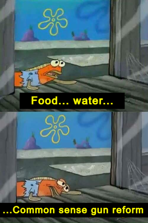 Food, water, common-sense gun reform meme