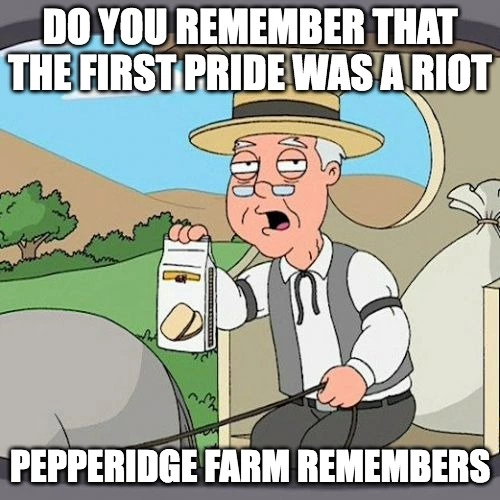 Do you remember that the first pride was a riot? meme