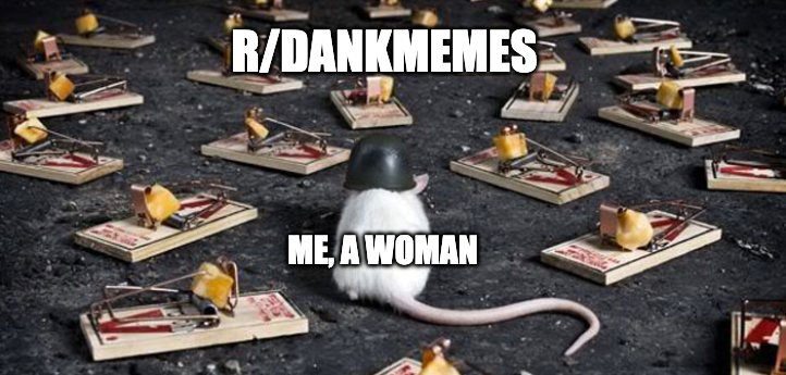 Me, a woman and r/Dankmemes meme