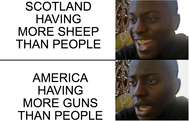 Scotland having more sheep than people; America having more guns than people meme