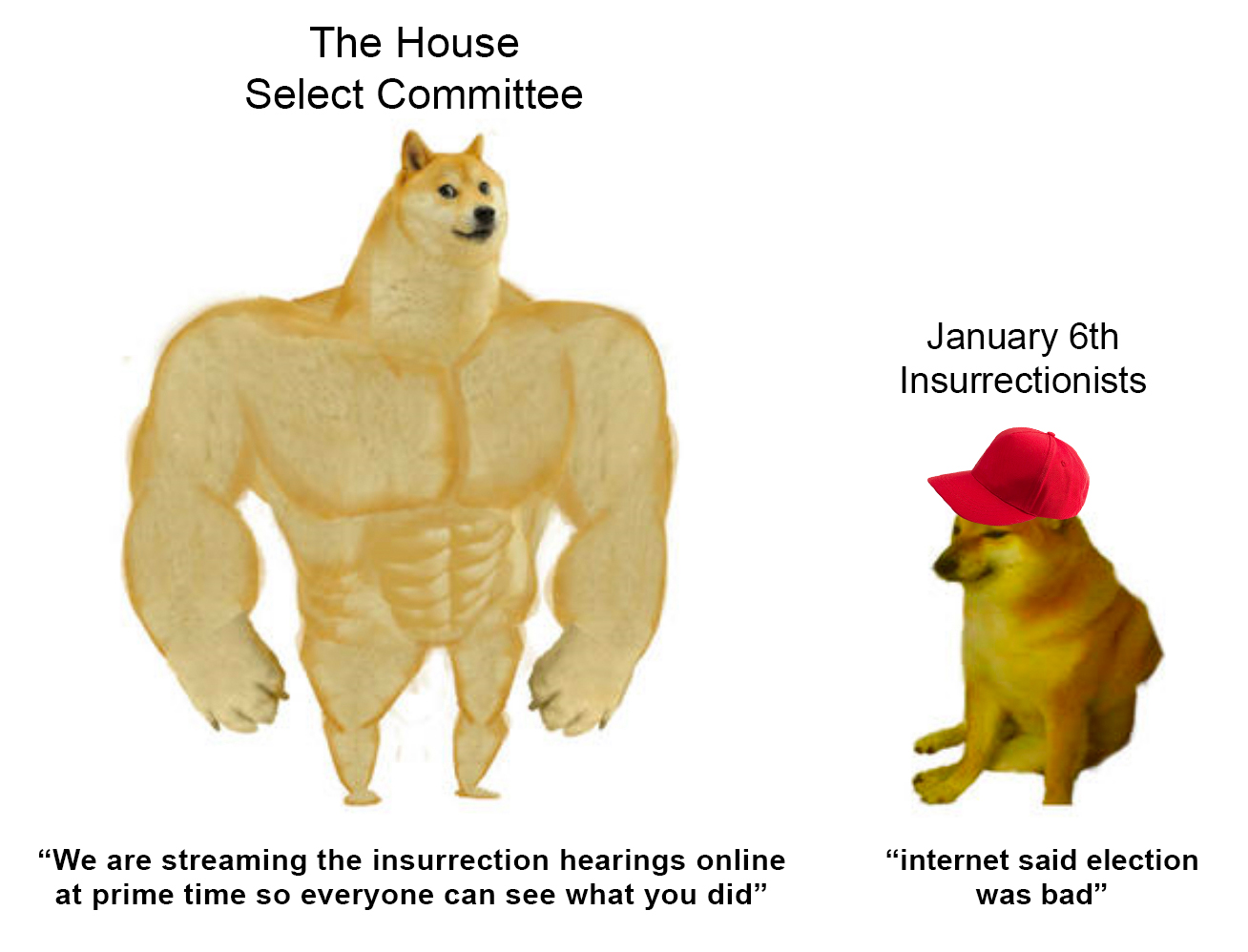 The House Select Committee vs January 6th insurrectionists meme