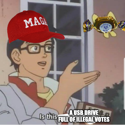 MAGA USB full of illegal votes meme