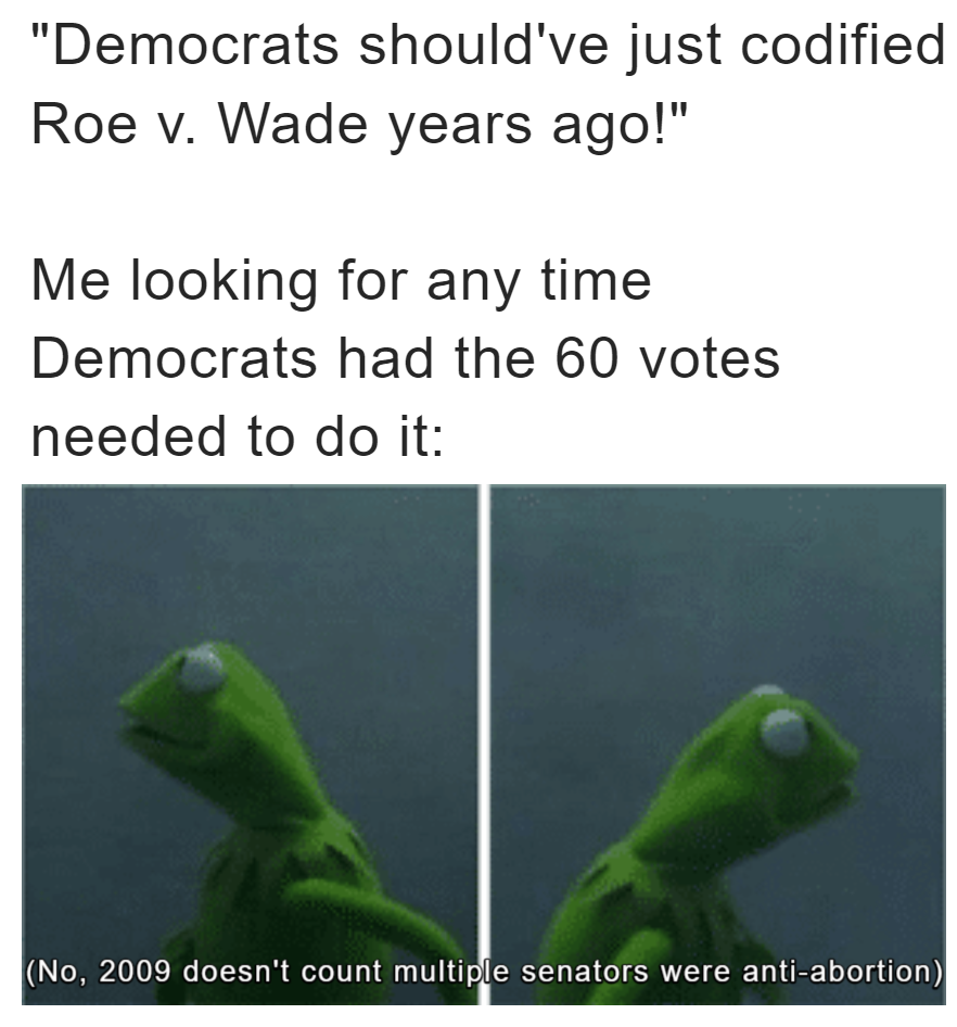 "Democrats should've just codified Roe v. Wade years ago" meme