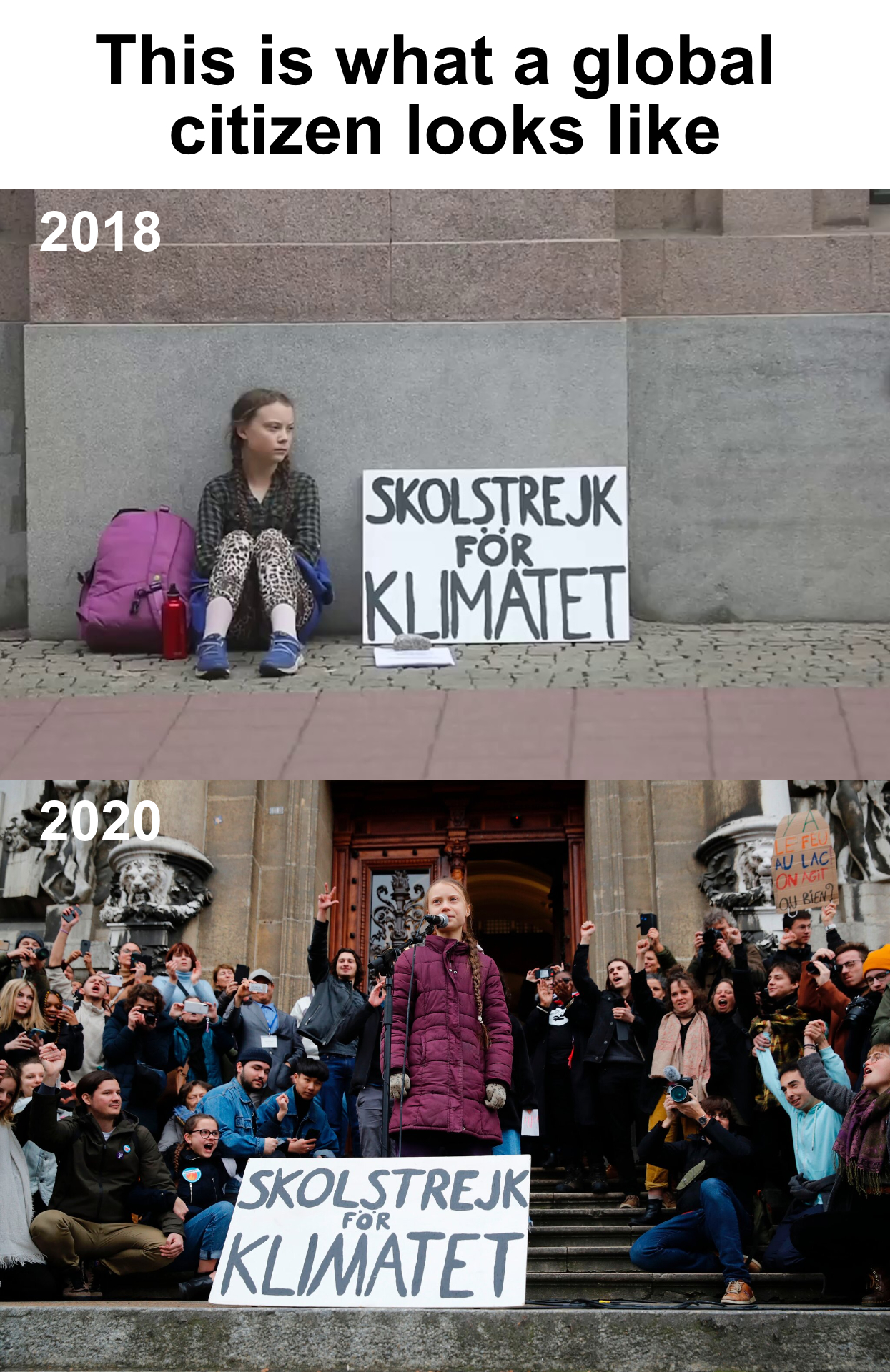 What a Global Citizen looks like meme