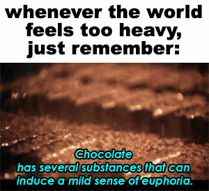 Whenever the world feels too heavy, just remember chocolate motion meme