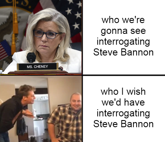Who is going to interrogate Steve Bannon vs who I wish would meme