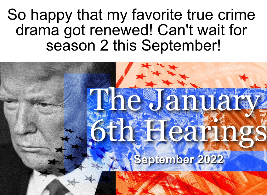 January 6th Hearings True Crime meme