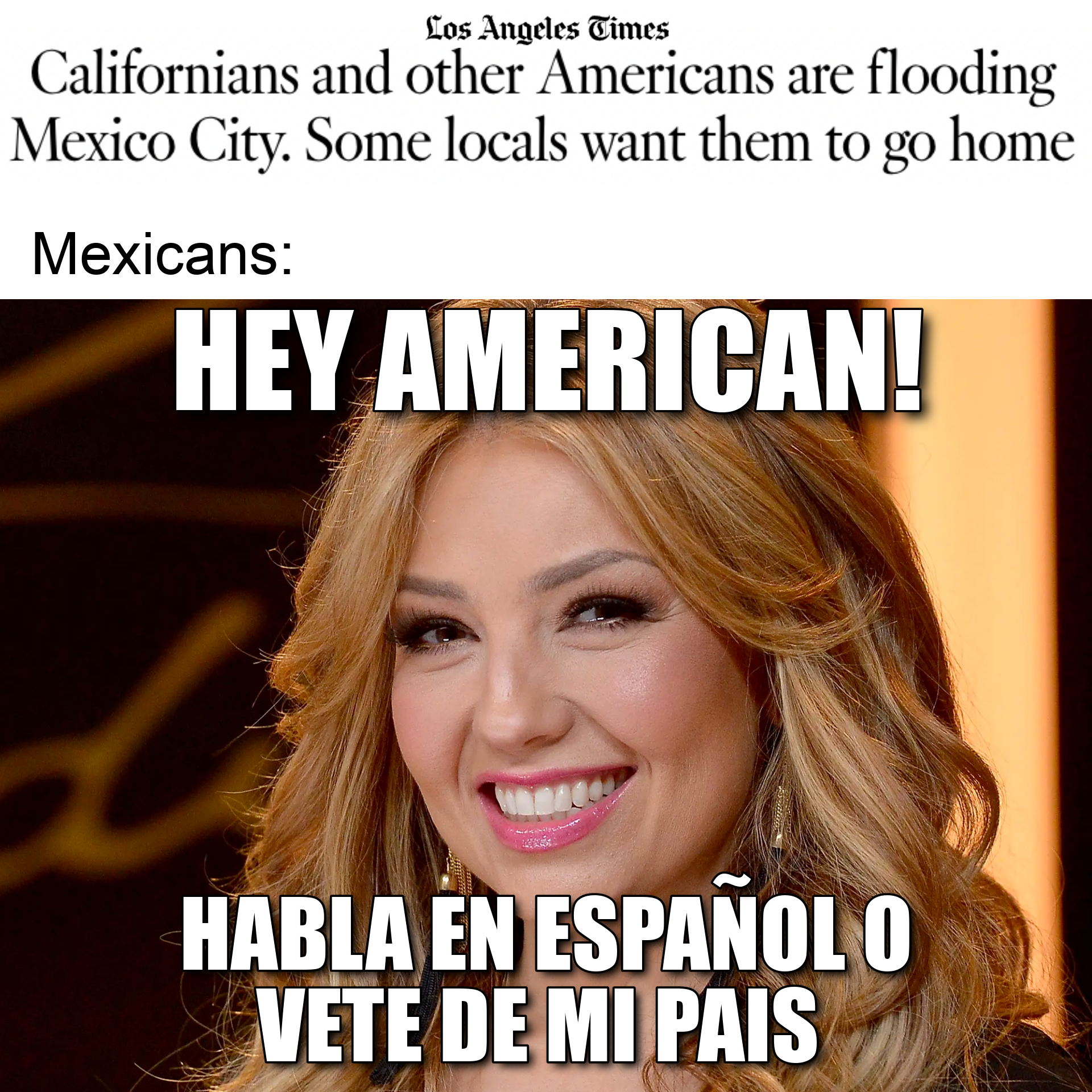 Americans immigrating to Mexico meme