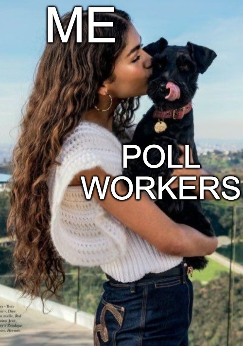 Me loving poll workers meme