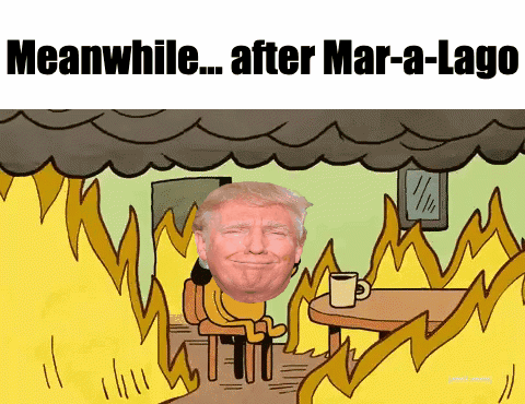 Trump pleading the fifth Mar-a-Lago motion meme