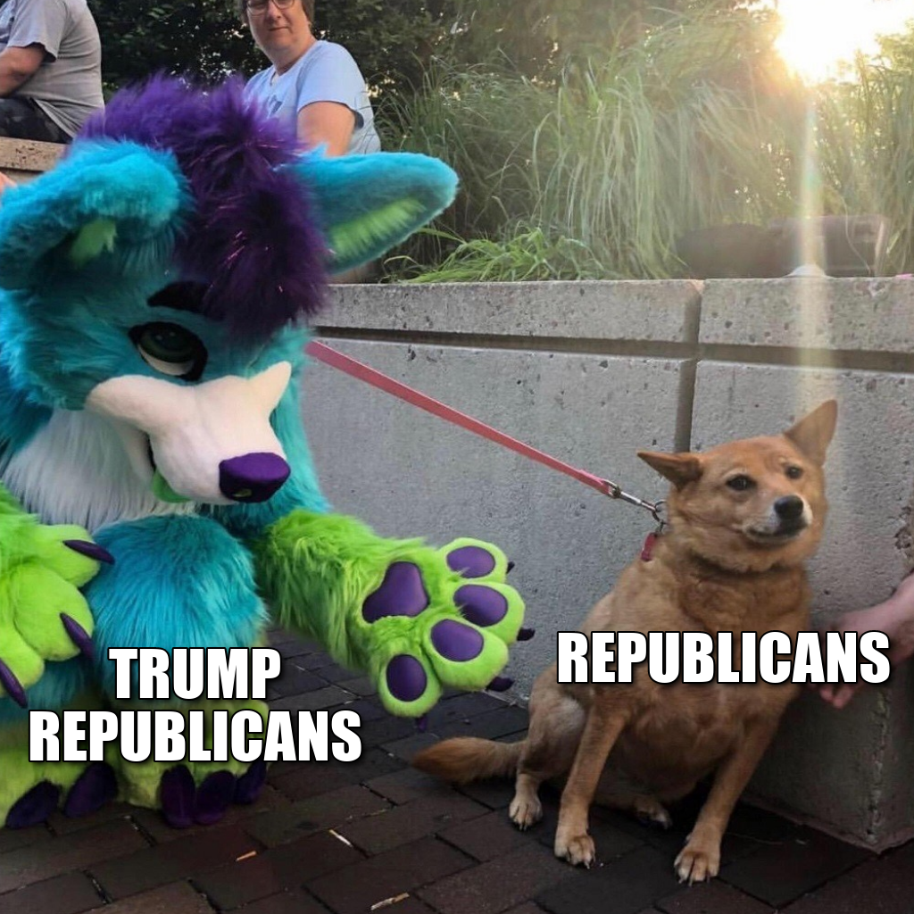 Trump Republicans vs Republicans