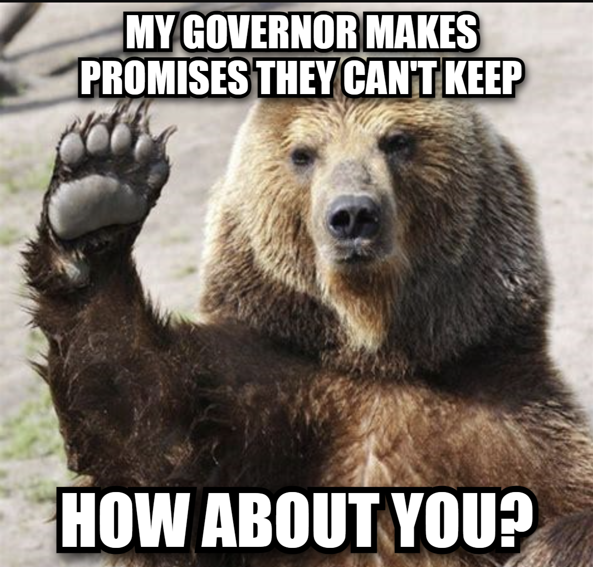Governor makes promises they can't keep bear meme