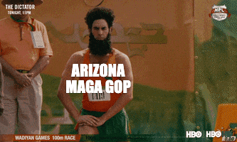 AZ MAGA GOP race motion meme