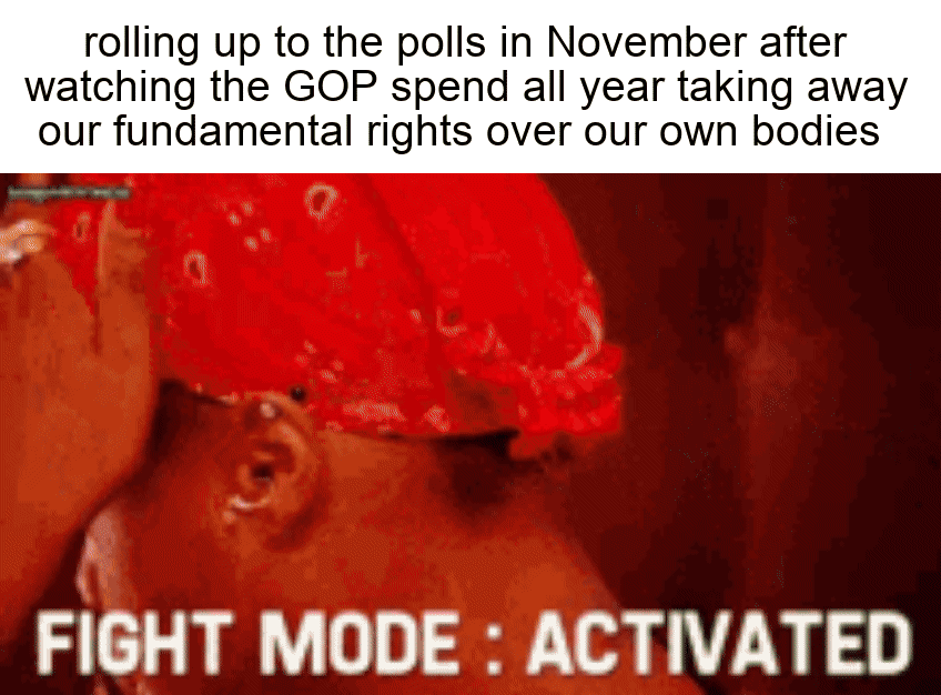 Rolling up to the polls in November after watching the GOP spend all year taking away our fundamental rights over our own bodies motion meme