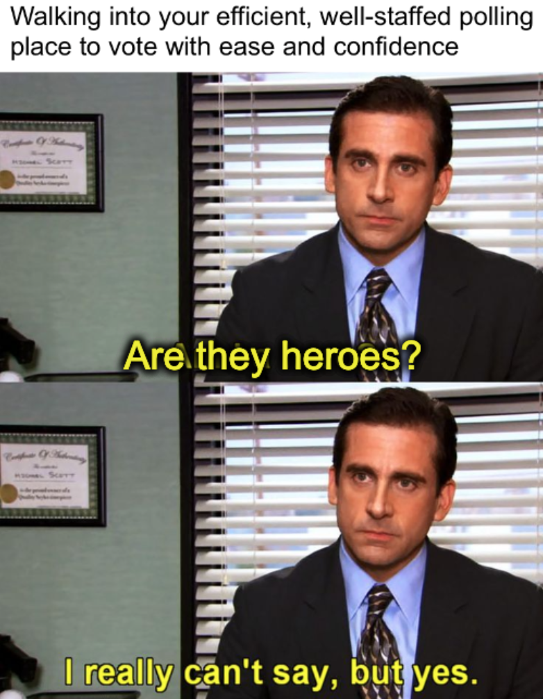 Walking into your efficient, well-staffed polling place to vote with ease and confidence meme