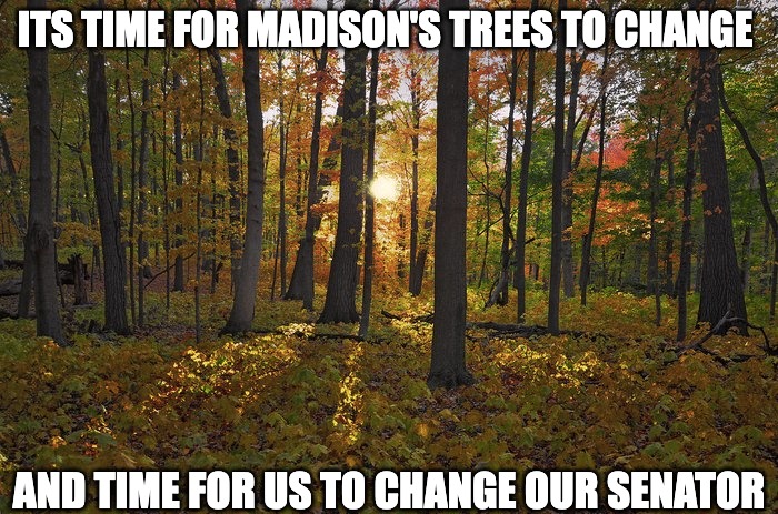 It's time for Madison's trees to change and time for us to change our senator meme