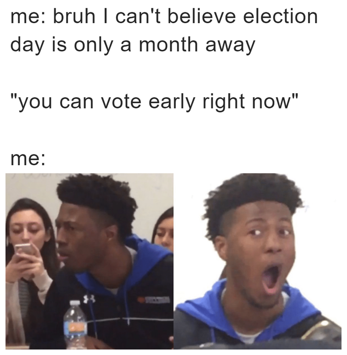 Bruh I can't believe election day is only a month away, you can vote early right now meme