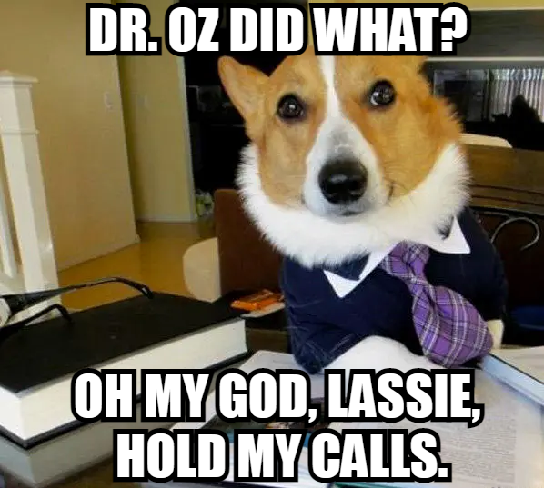Dr. Oz did what? Oh my god, Lassie, hold my calls meme