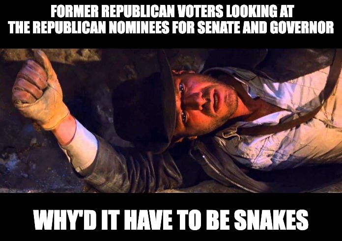 Former Republican voters looking at the Republican nominees for senate and governor meme