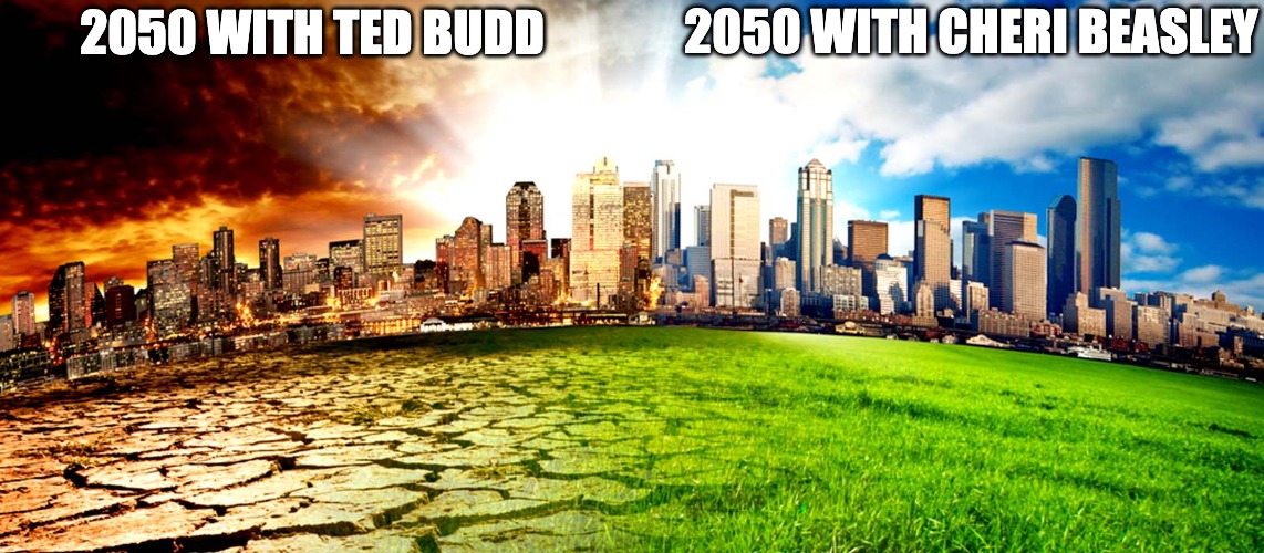 2050 with Ted Budd vs with Cheri Beasley meme