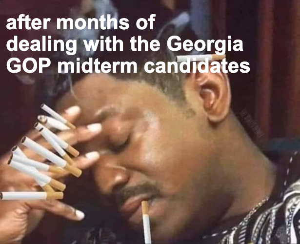 After months of dealing with the Georgia GOP midterm candidates meme