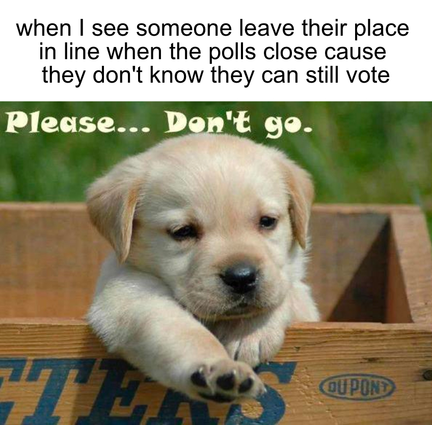 When I see someone leave their place in line when the polls close meme