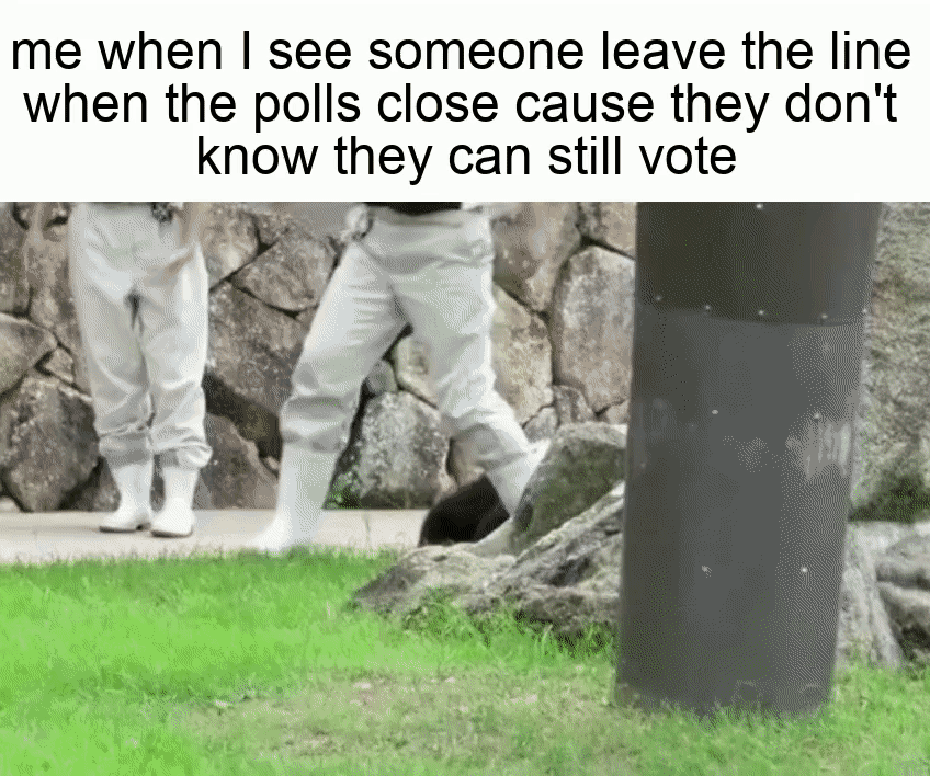 Me when I see someone leave the line when the polls close cause they don't know they can still vote motion meme