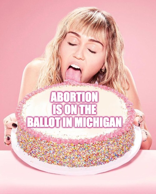 Abortion is on the ballot in Michigan meme