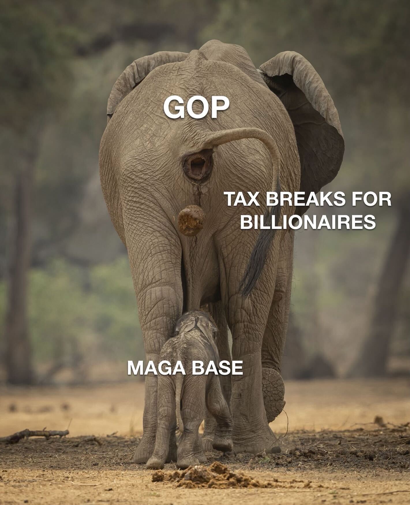 GOP elephant pooping tax breaks for billionaires on MAGA base meme