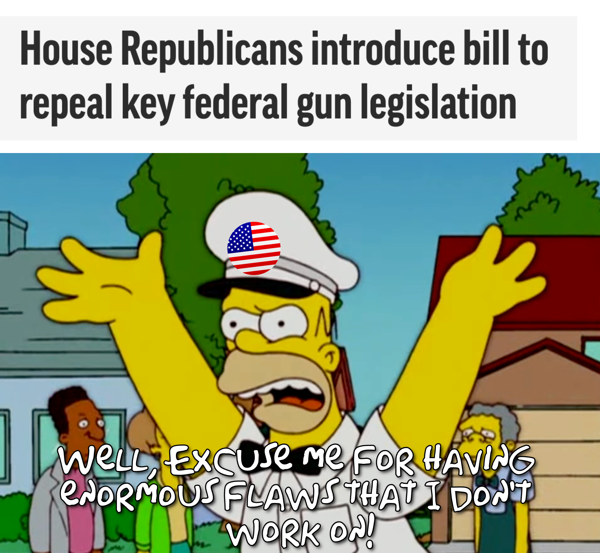 House Republicans introduce bill to repeal key federal gun legislation meme