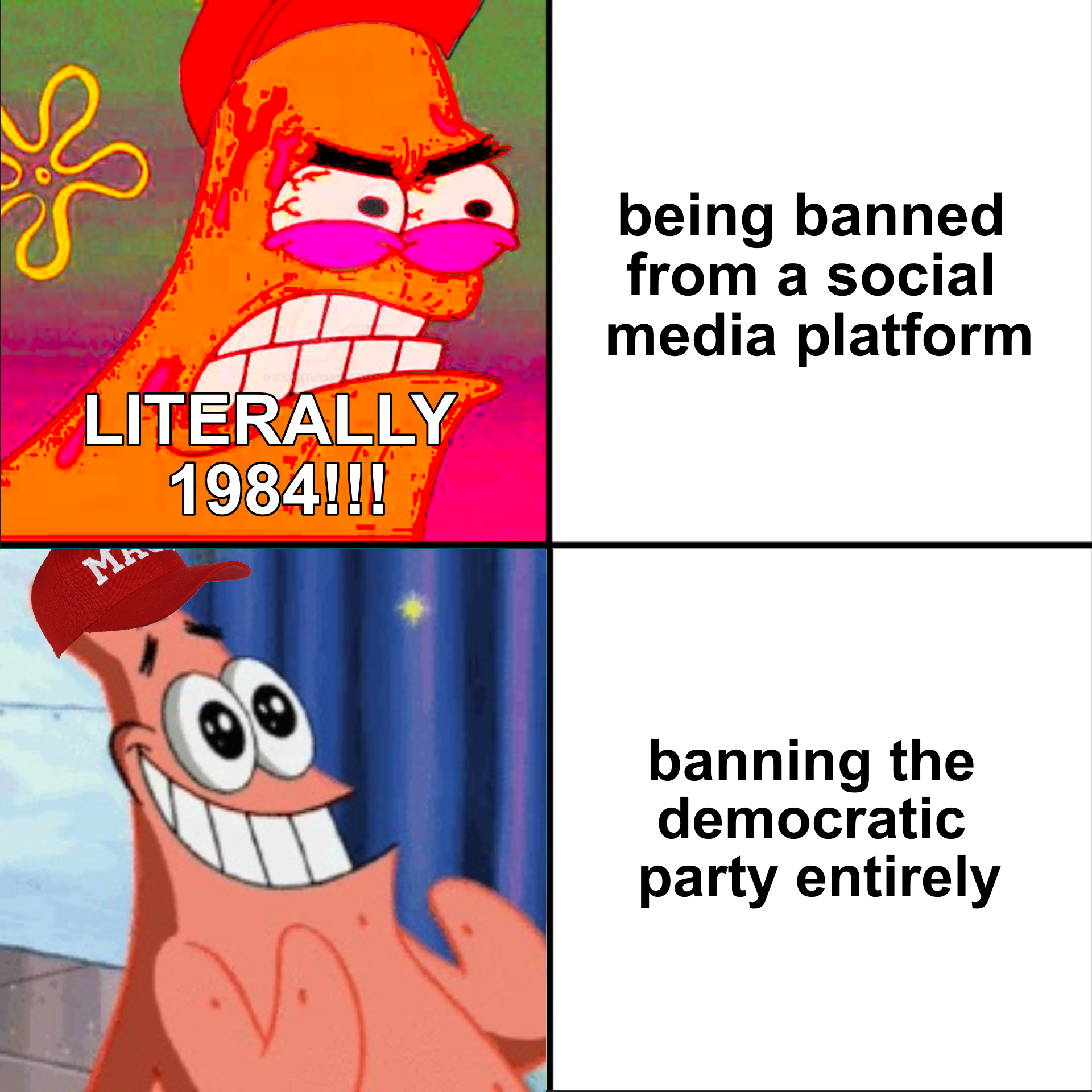 MAGA bans on social media and Democratic party meme