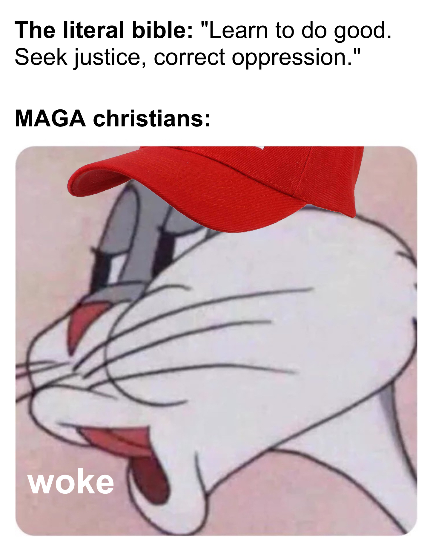 The Bible is too woke for MAGA Christians meme
