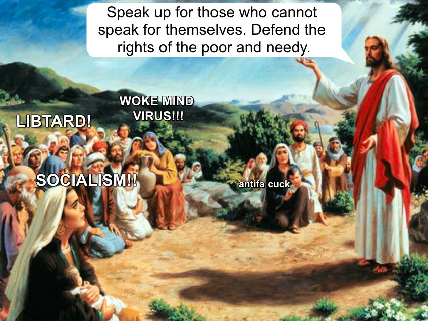 Speak up for those who cannot speak for themselves. Defend the rights of the poor and needy meme