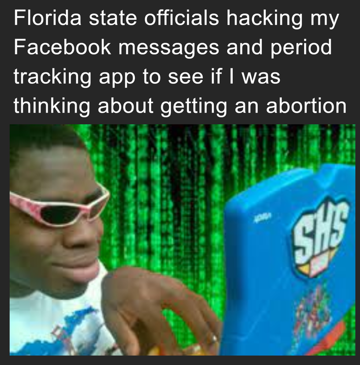 Florida state officials hacking into my Facebook messages and period tracking app to see if I'm thinking about getting an abortion meme
