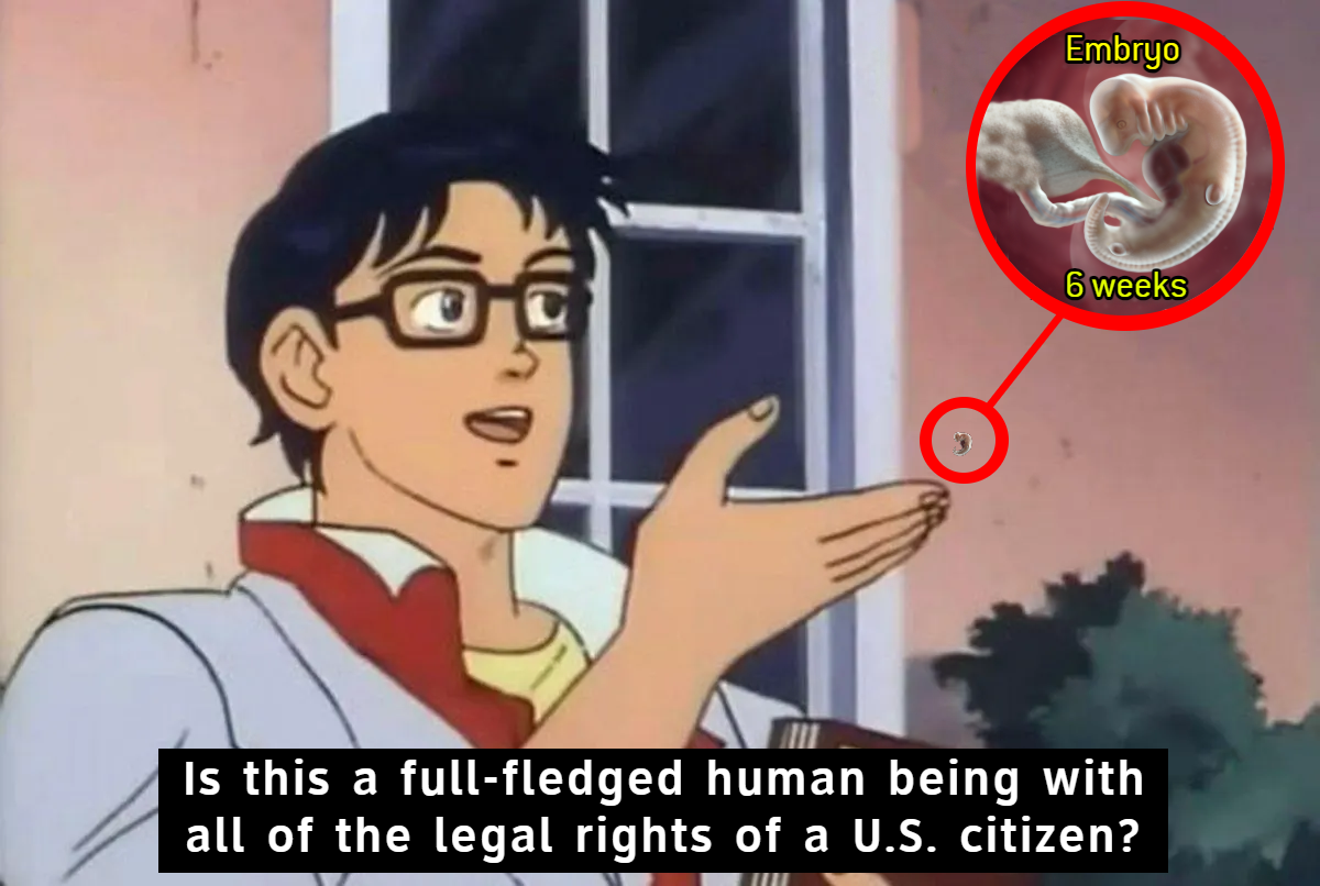 Is this a full-fledged human being with all of the legal rights of a US citizen? meme