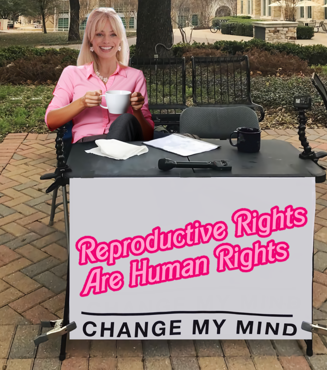 Reproductive rights are human rights - change my mind meme