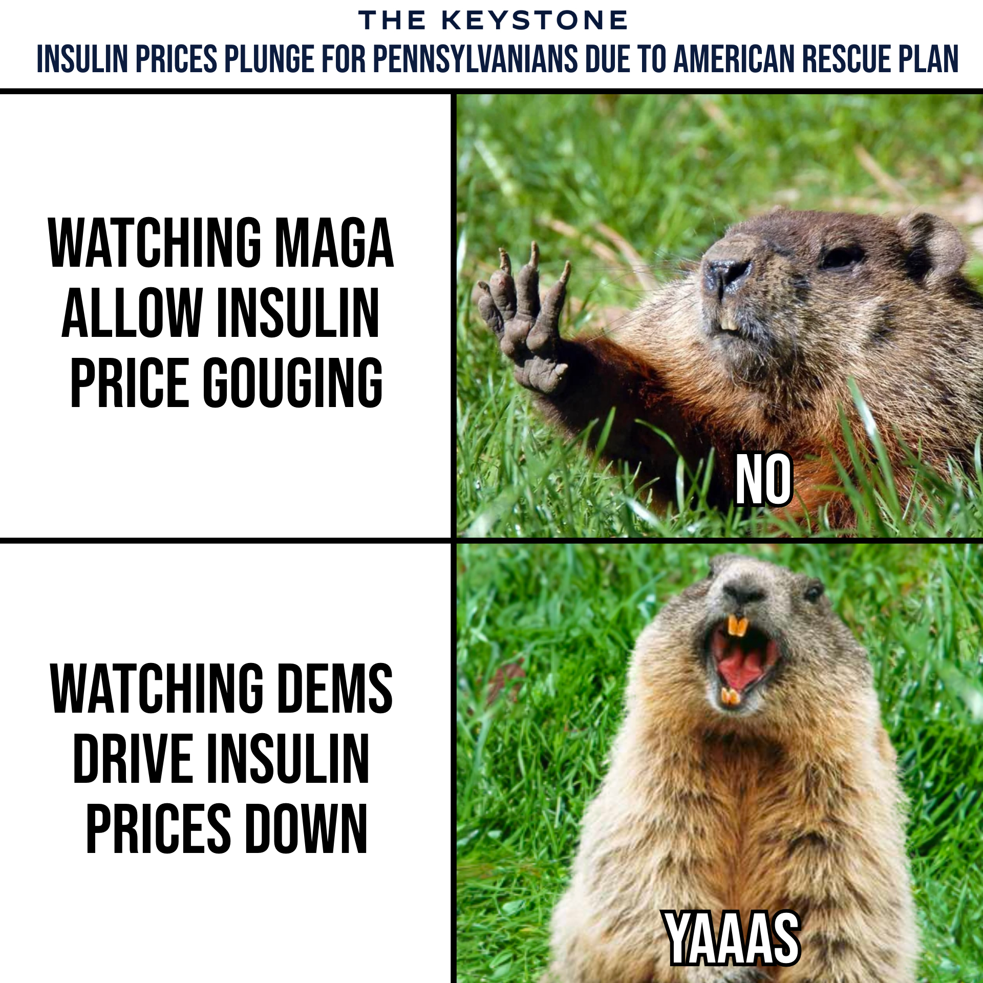 Insulin prices plunge for Pennsylvanians due to American Rescue Plan meme