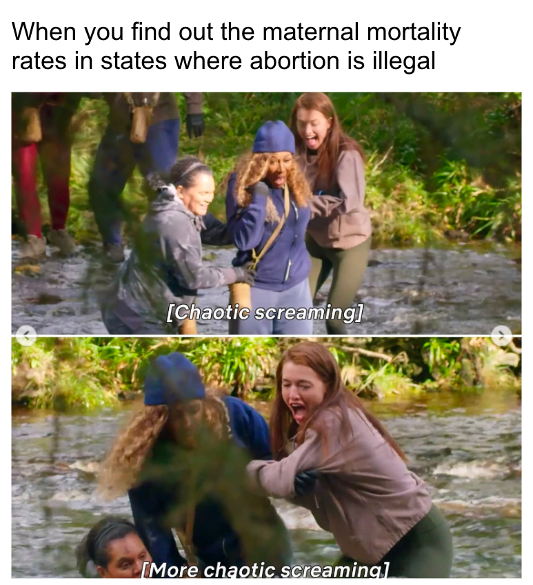 When you find out the maternal mortality rates in states where abortion is illegal meme