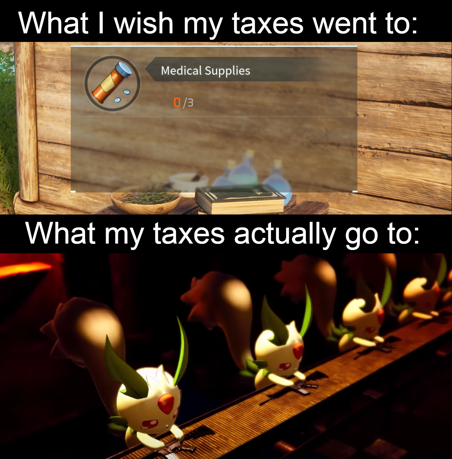 What I wish my taxes went to meme