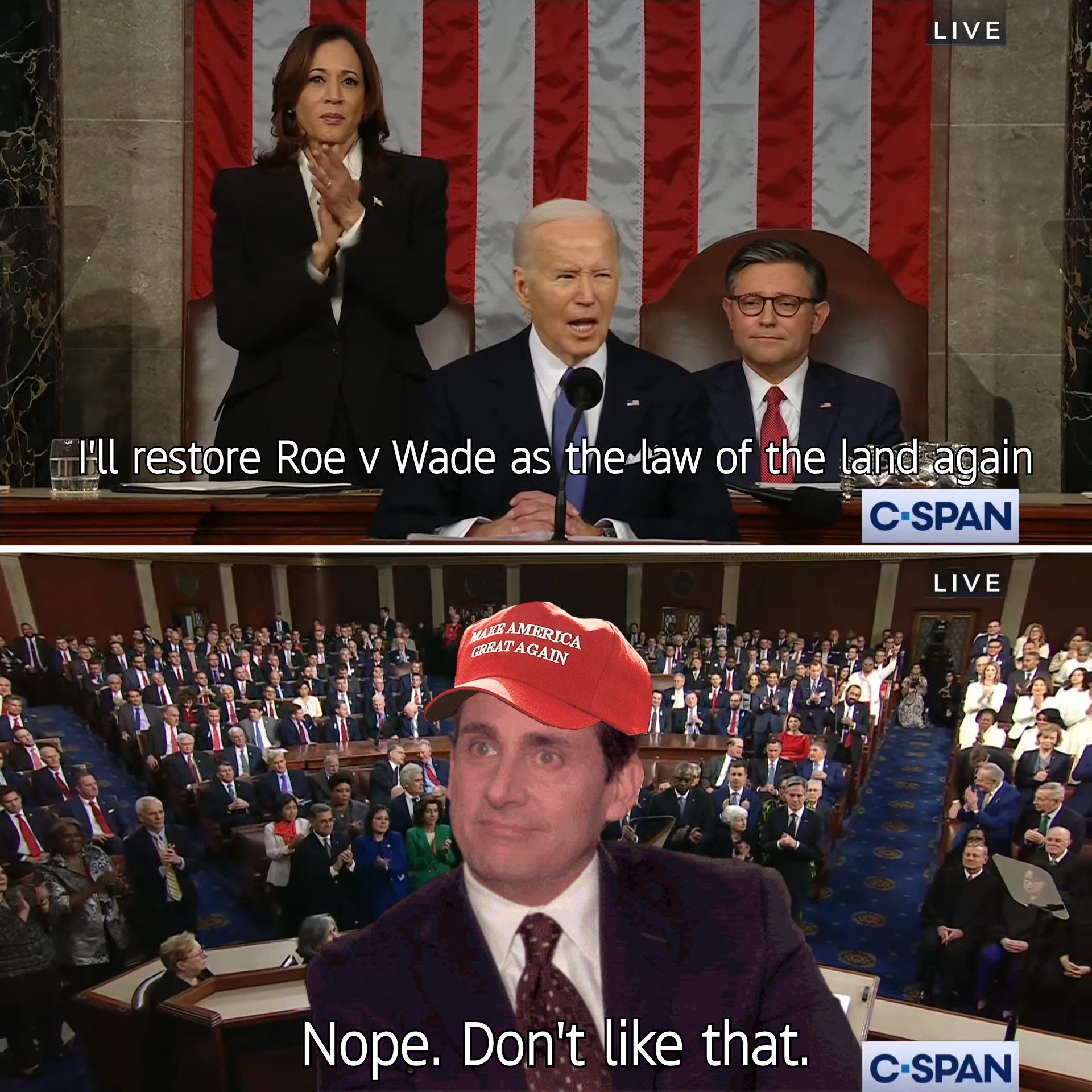 I'll restore Roe v. Wade as the law of the land meme