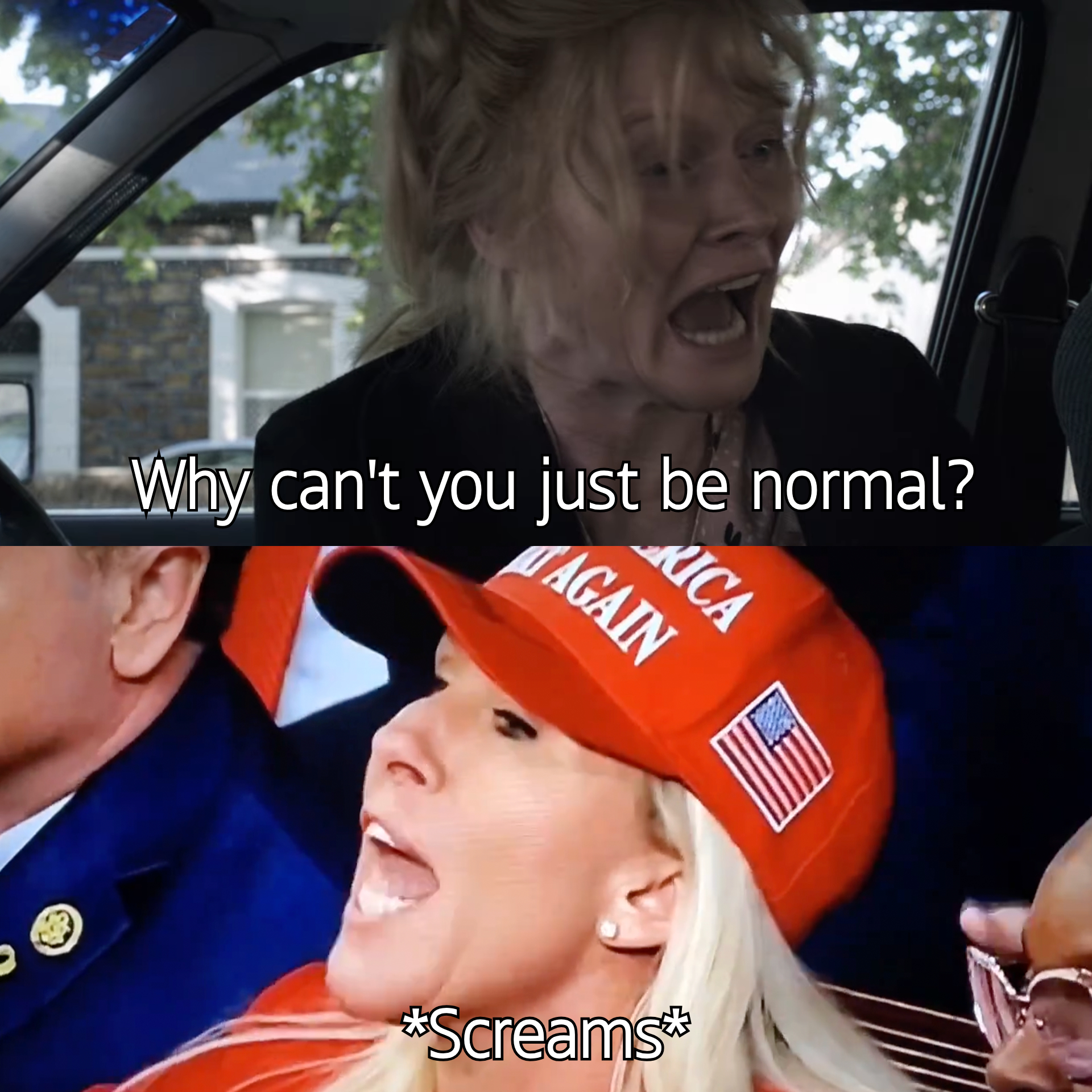 Marjorie Taylor Greene, why can't you just be normal? meme