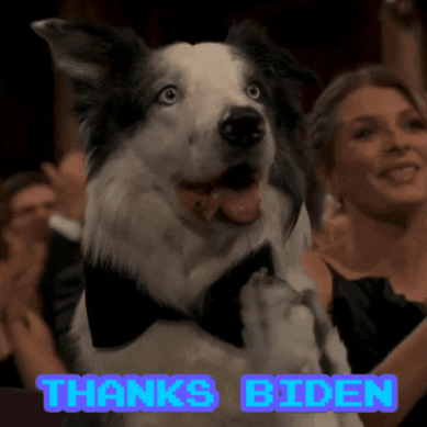 Thanks Biden dog