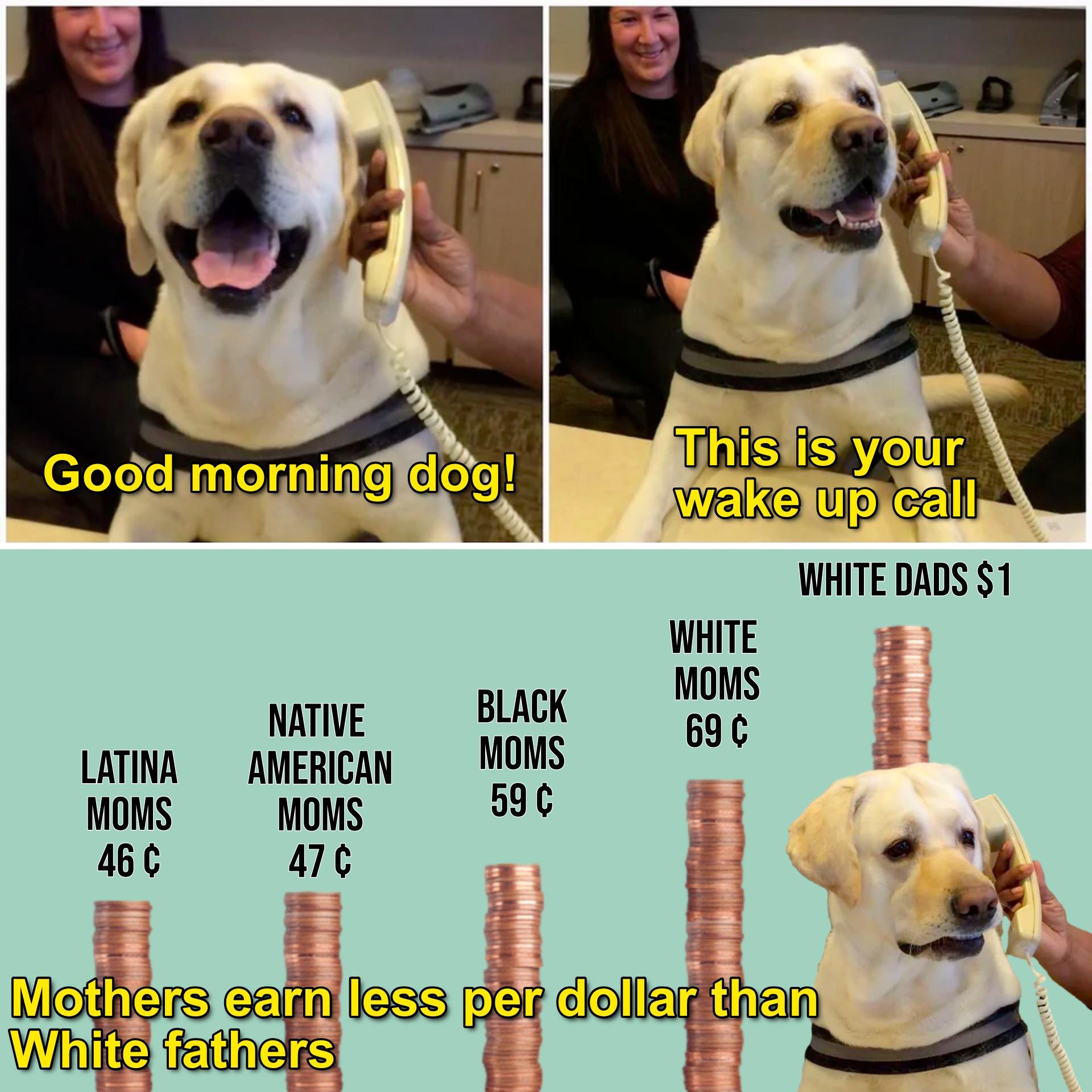 Mothers earn less per dollar than white fathers meme
