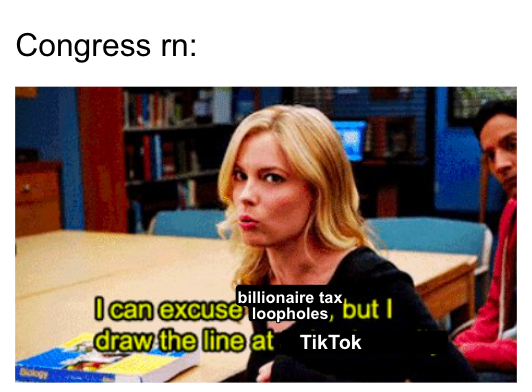 Congress can excuse billionaire tax loopholes, but draw the line at Tiktok meme